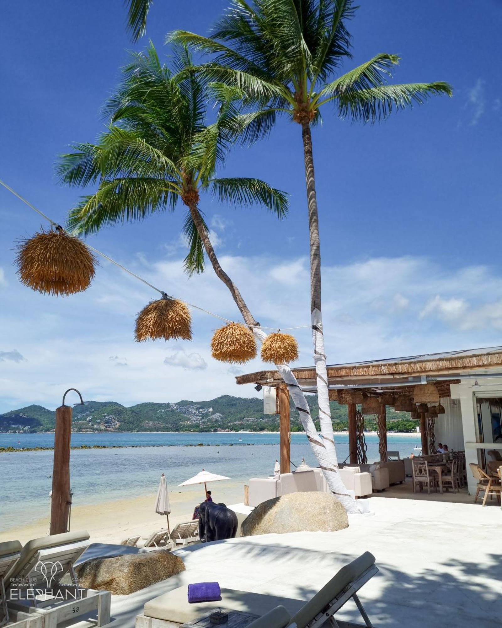 Elephant Beach Club & Resort Samui Csaveng-part Kültér fotó